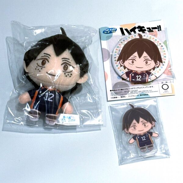 ハイキュー セガラッキーくじ ぬいぐるみ アクスタ 缶バッジ 山口 忠
