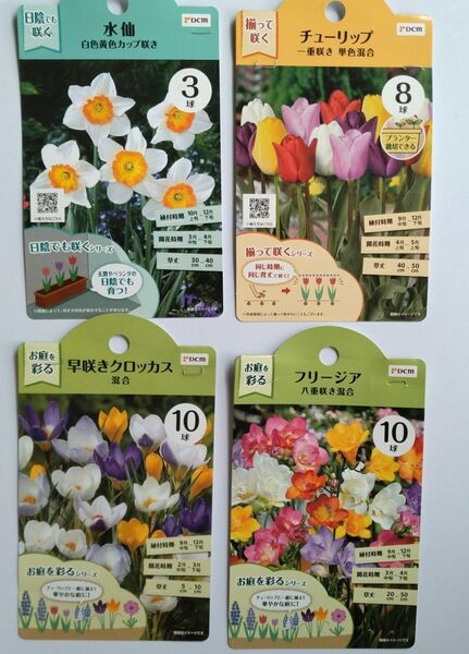 球根 水仙 チューリップ フリージア クロッカス まとめ売り