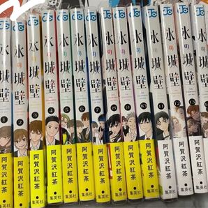 氷の城壁 既存全巻セット 阿賀沢紅茶