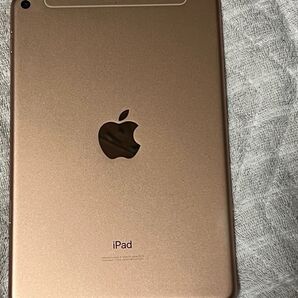ipad mini 5 セルラー 256GB
