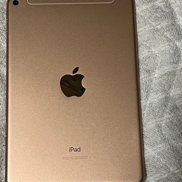iPad mini5 Wi-Fi + Cellular 256GB 2019年