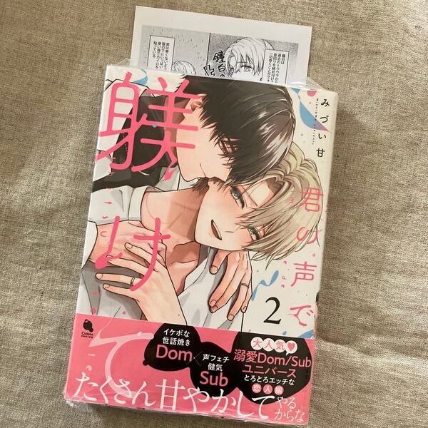 君の声で甘やかして 2巻 特典ペーパー付き