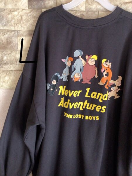 ディズニー ピーターパン ロストボーイズ トレーナー スウェット レディース 薄手 L