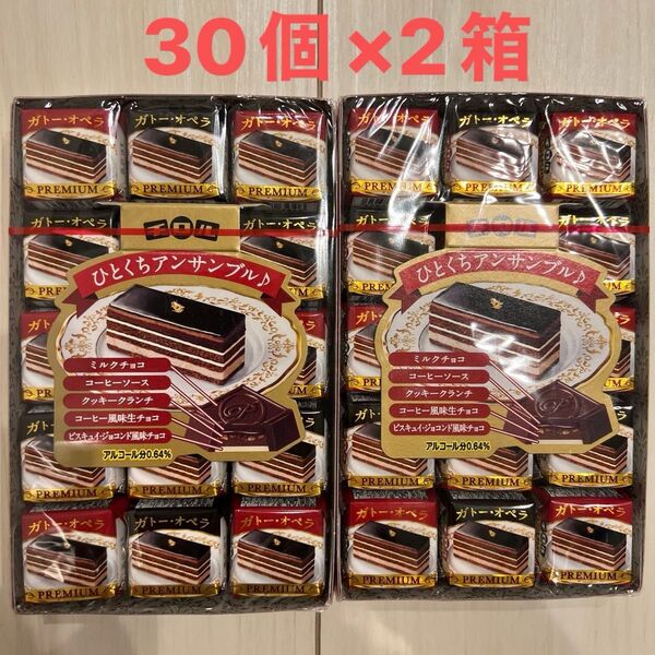 チロルチョコ ガトーオペラ ひとくちアンサンブル 30個入り お菓子