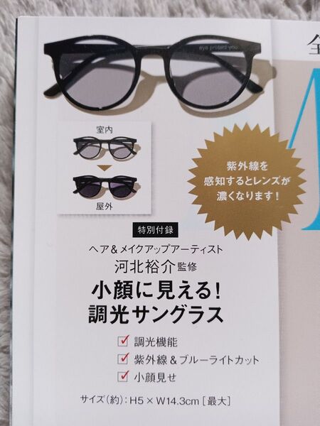 サングラス eye protect オトナミューズ調光サングラス