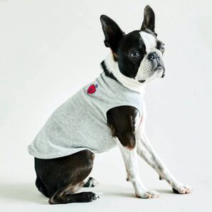 dytem Shade HEATHER GRAYドッグウェア(XL)