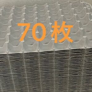 卵トレー紙モールド昆虫マット70枚