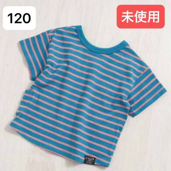 ブリーズ BREEZE【どっちも正解】 DAISUKI Tシャツ 半袖 ボーダー ターコイズブルー×ピンク 120