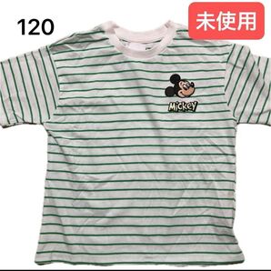 しまむら リトシー littc ディズニー disney ミッキー 緑 グリーン ボーダー ミッキー 半袖Tシャツ 120