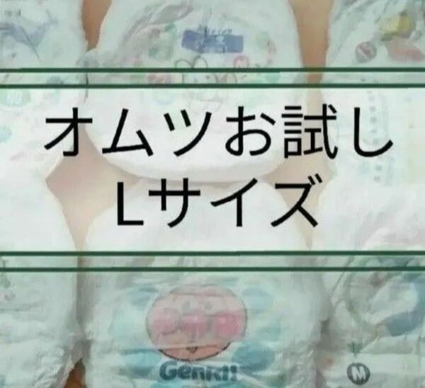 おむつ お試し Lサイズ パンツタイプ テープタイプ 組み合わせ自由 紙おむつ