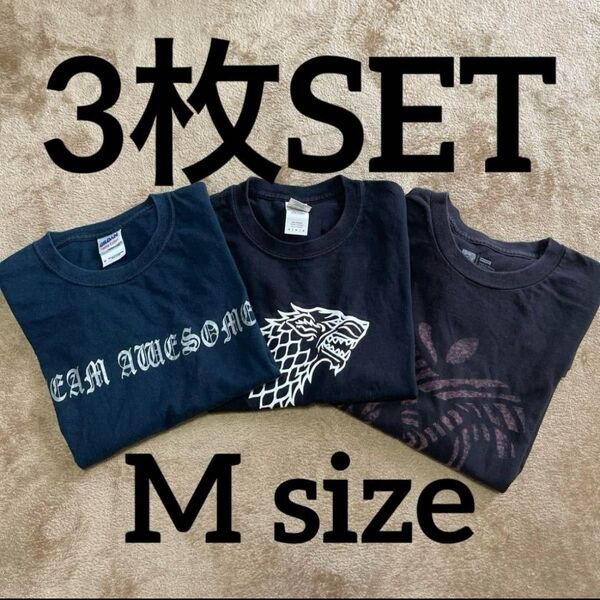 激安 US古着 Tシャツ 3枚SET M B品 アメカジ ストリート USA Tシャツ セット アメリカ古着 ロゴ