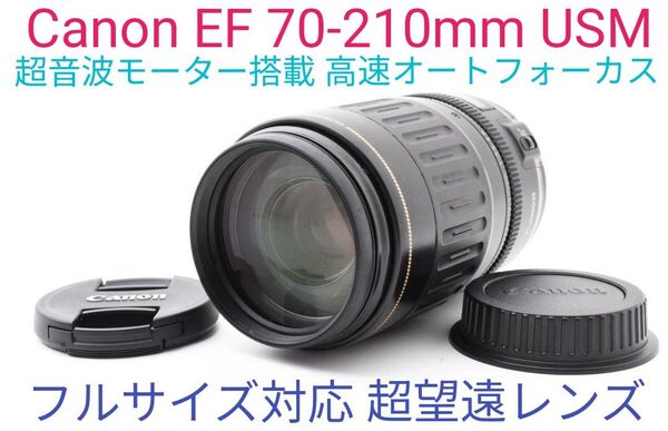 8月4日限定価格♪【望遠レンズ】Canon EF70-210mm USM