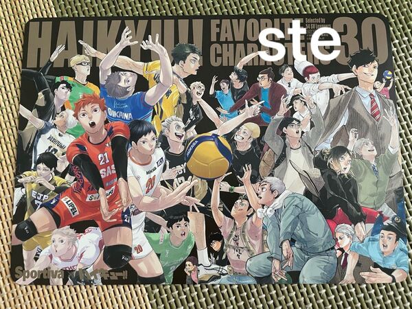 Sportiva 特集号 Vol.3 ハイキュー ビジュアルボード 特典 アニメイト ビジュボ スポルティーバ