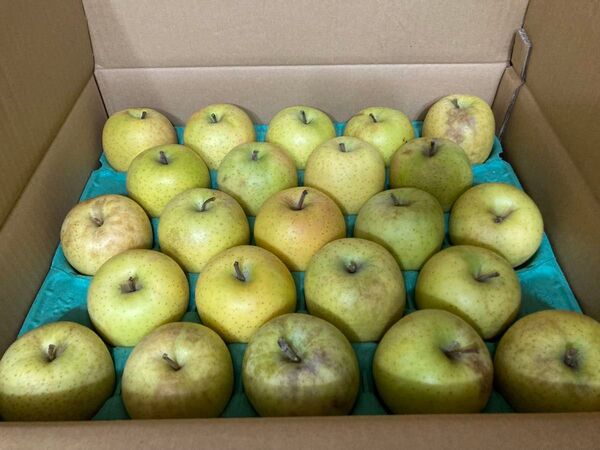 449.特売数量限定青森県王林リンゴ少々訳あり家庭用箱込み5kg