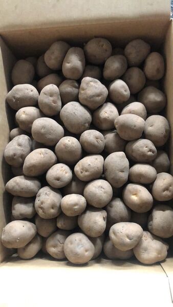 155.特売数量限定じゃがいも箱込み10kgS~3S