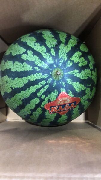 438.お買い得数量限定だんらん西瓜秀品1玉入り約 2.8kg~3kg前後