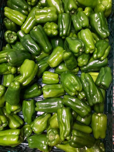 296.お買い得数量限定野菜ピーマン3kg