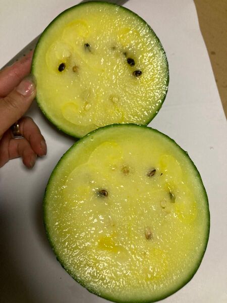 335.数量限定希少品薄皮小玉黄肉クリーム西瓜5~7玉入り玉数お任せ