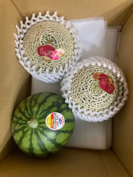 338.早勝ちお買い得数量限定小玉すいか1玉+赤肉小玉メロン2玉入り箱込み1.7~1.9kg前後