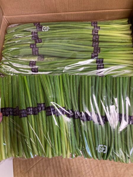 339.新鮮野菜、ニンニクの芽 蒜苔10束常温発送