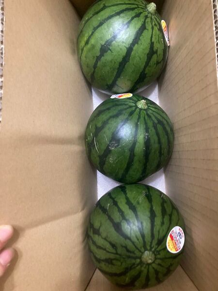 354.お買い得数量限定 小玉西瓜 スイカ3玉入り箱込み2.9〜3.2Kg前後品種お任せ