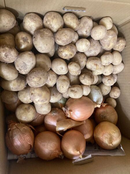 406..お買い得 じゃがいも馬鈴薯+玉ねぎセット合わせて箱込み10kg