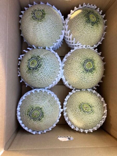 375.お買い得数量限定 アンデスメロン 青肉メロン6玉入り産地箱