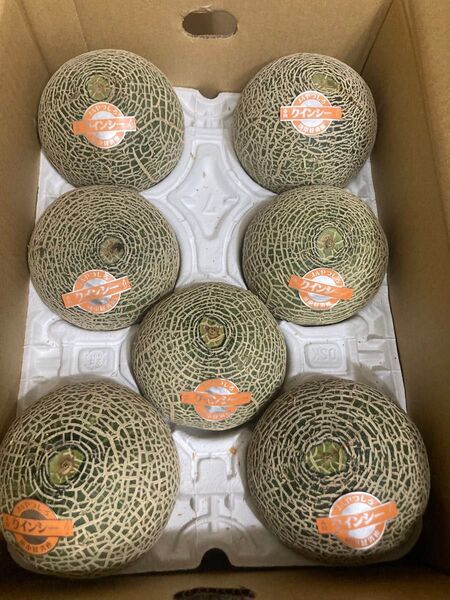 381.特売数量限定 早勝ち赤肉メロンクインシーメロン秀品 M7玉入り