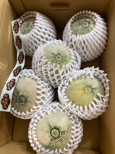 375.お買い得数量限定 アンデスメロン 青肉メロンL6玉入り産地箱
