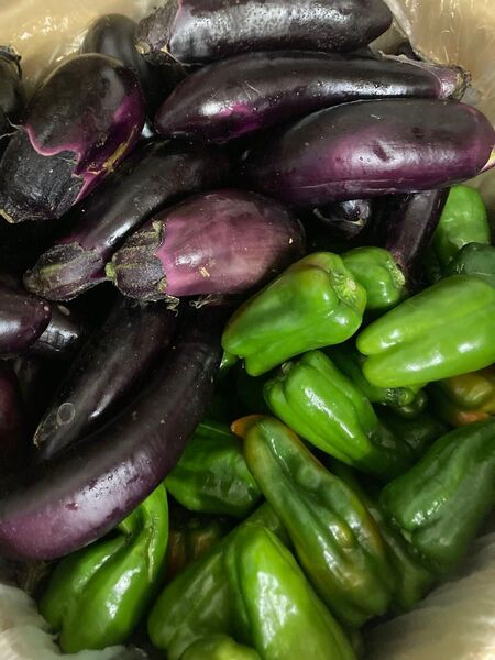 427.特売数量限定訳あり野菜ピーマンなすセット箱込み4kg