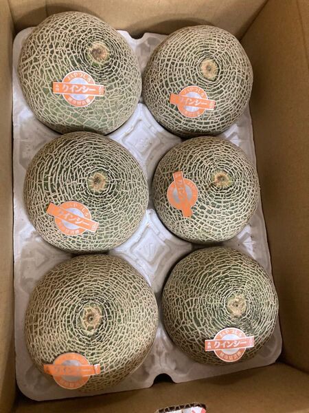 380.お買い得数量限定 早勝ち赤肉クインシーメロン秀品 L6玉入り