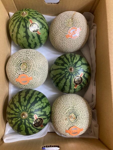 461.早勝ちお買い得小玉すいか3玉+赤肉メロン3玉入り箱込み約4.8kg前後