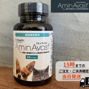 アミンアバスト 猫・小型犬用規格(300mg)60カプセル〈犬猫用〉
