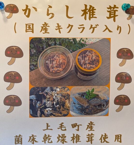 からし椎茸(国産椎茸、キクラゲ入り)200gX1本