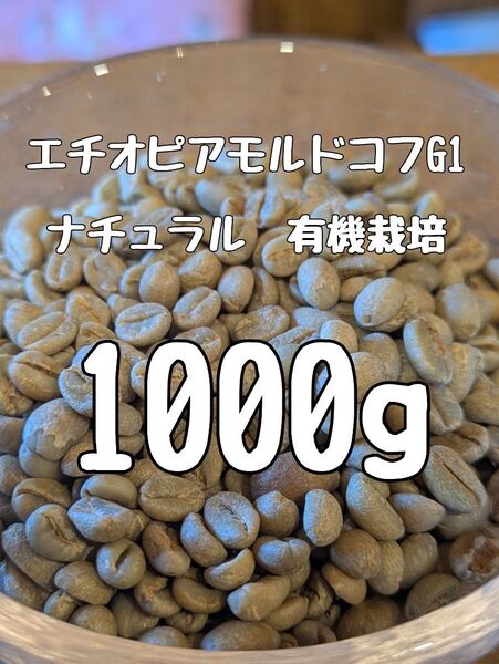 コーヒー生豆エチオピアモルドコフG1ナチュラル有機栽培1000g