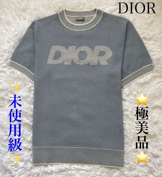 【極美品】Dior ロゴ入り 半袖ニットTシャツ グレー 正規品 メンズ