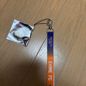 コンサドーレ ボンフィン 愛媛fc