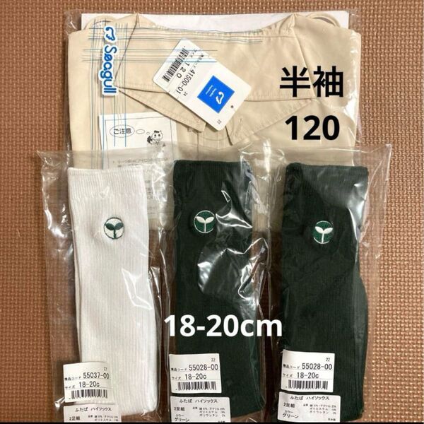 ふたば幼稚園 未使用品セット 半袖ブラウス120 ハイソックス18-20cm 靴下