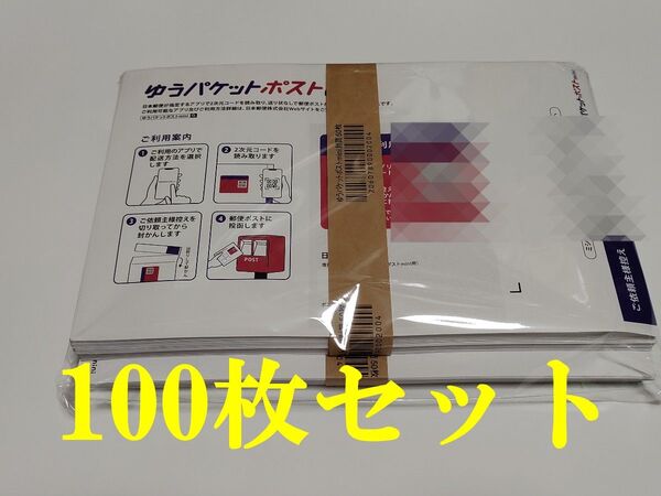 ゆうパケットポストmini 専用封筒100枚セット 24時間以内発送 匿名配送