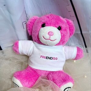 ピンククマ用 ぬい服 Tシャツ テテベアテテクマ friends 20cm ぬいぐるみ テディベア bts V テテ