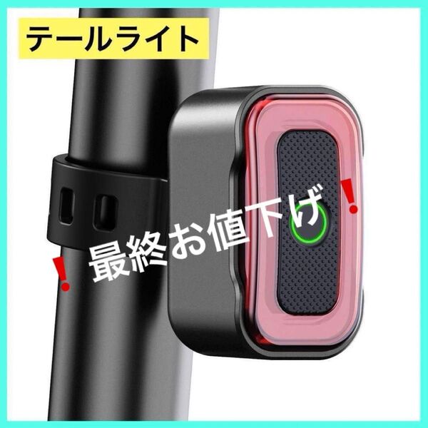 自転車 テールライト USB充電式 72時間持続点灯 IPX5防水 軽量 昼夜 サイクリング 通勤 通学 簡易装着 日本語説明書付