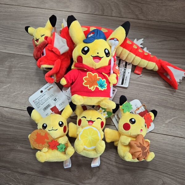 ポケモンセンターヒロシマ ぬいぐるみ セット ピカチュウ ギャラドス