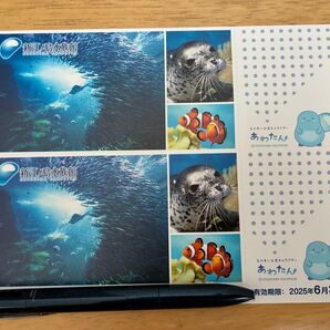 新江ノ島水族館ご招待券 ペアチケット