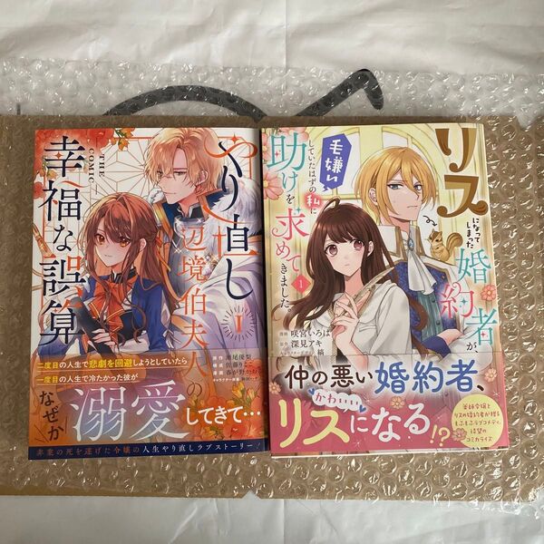 (一読済)リスになってしまった婚約者が、毛嫌いしていたはずの私に助けを求めてきました 1/ やり直し辺境伯夫人の幸福な誤算TH1