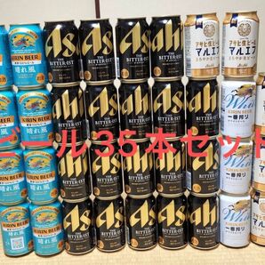 ビール 350ml 35本セット 詰め合わせ 晴れ風 マルエフ 一番搾り ビタリスト