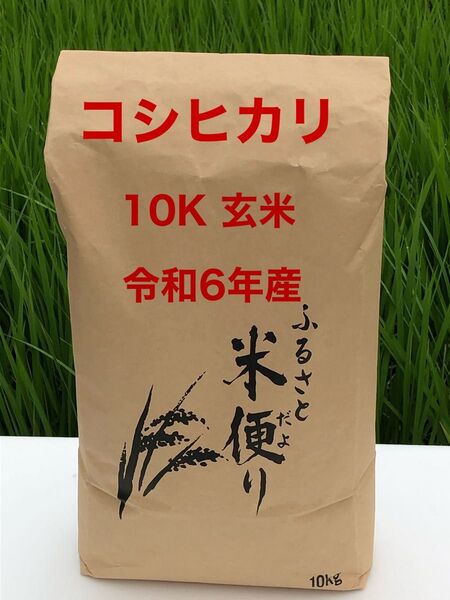 コシヒカリ 10K 玄米 茨城県産
