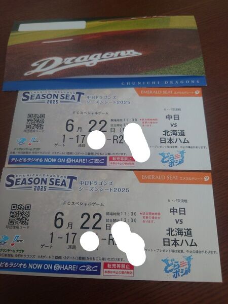 6月22日(日)中日vs日ハム バンテリン ペアチケット