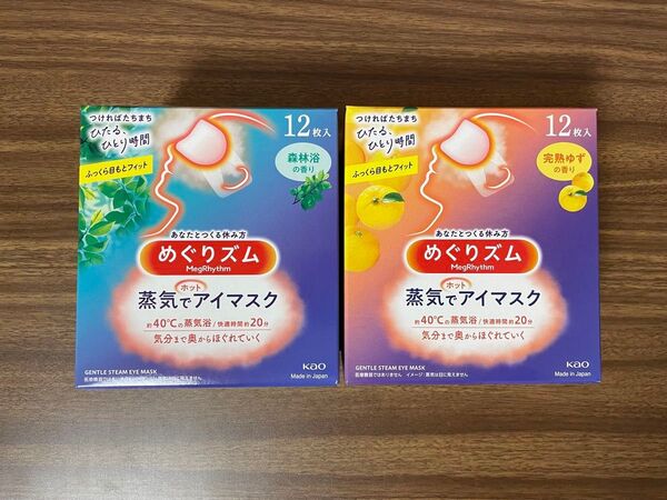 24枚 12枚入2種2箱 花王 めぐりズム 森林浴の香り12枚 完熟ゆずの香り12枚 蒸気でホットアイマスク 箱無し