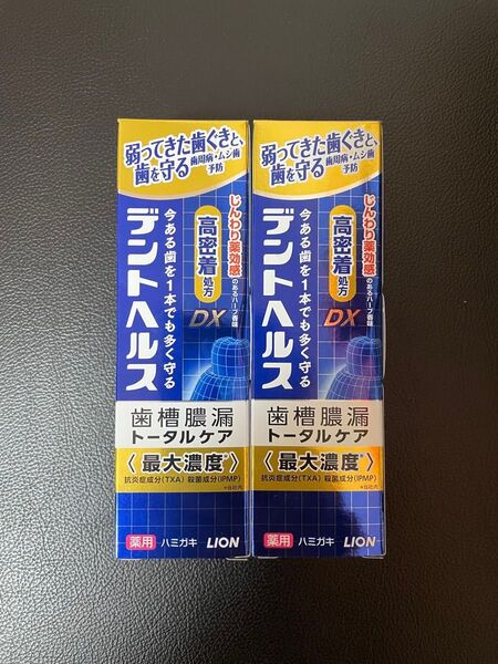 2本 ライオン デントヘルスDX 85g 歯槽膿漏トータルケア 歯磨き粉