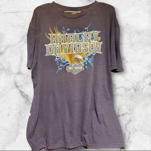 HARLEY-DAVIDSON 半袖Tシャツ 鷲ロゴプリント ネイビー